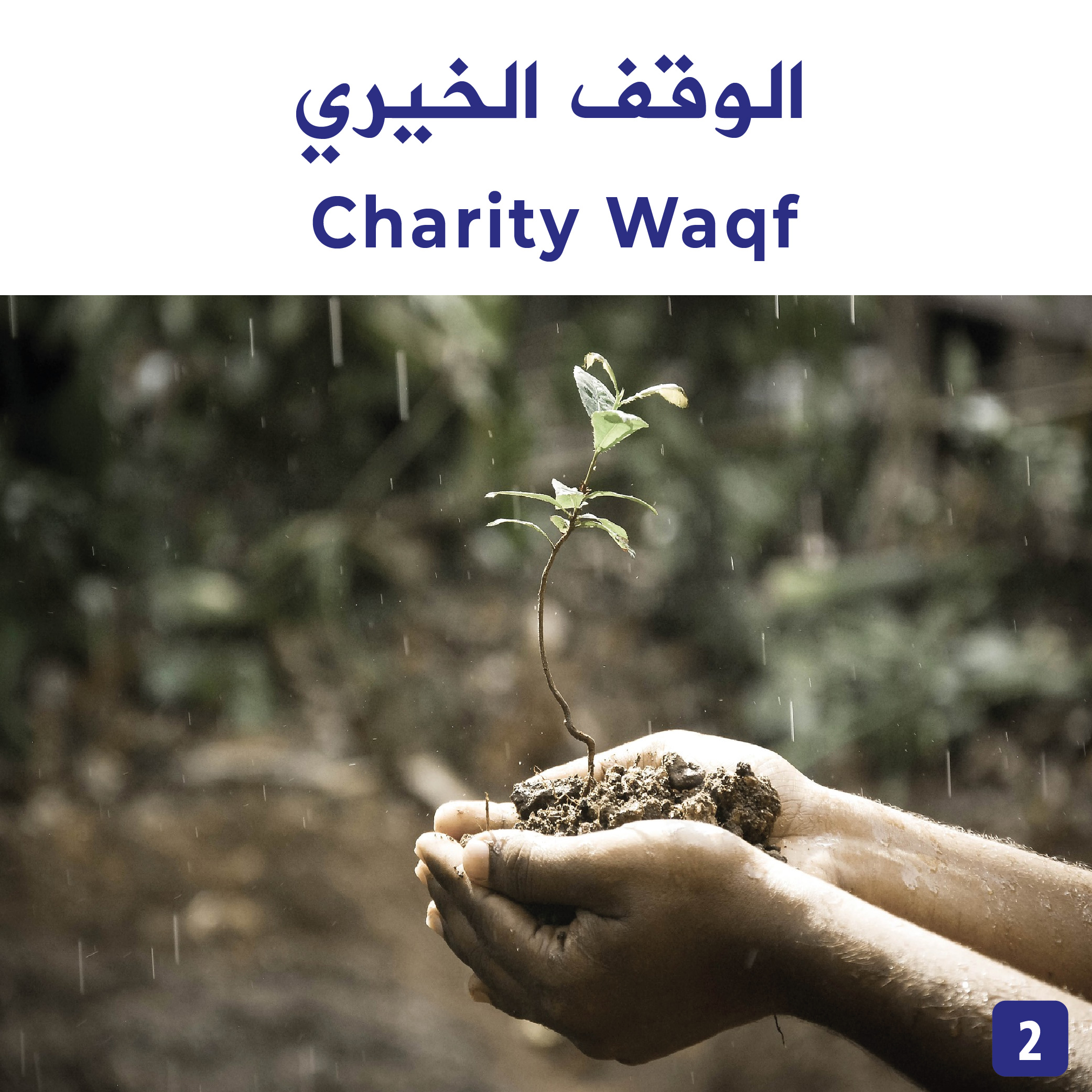الوقف الخيري